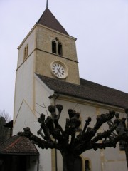 Vue du Temple de St-Aubin-Sauges. Cliché personnel (fév. 2009)