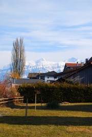 Panorama sur les Alpes bernoises. Cliché personnel
