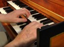 Les mains de C.-A. Schleppy jouant du clavecin. Cliché personnel